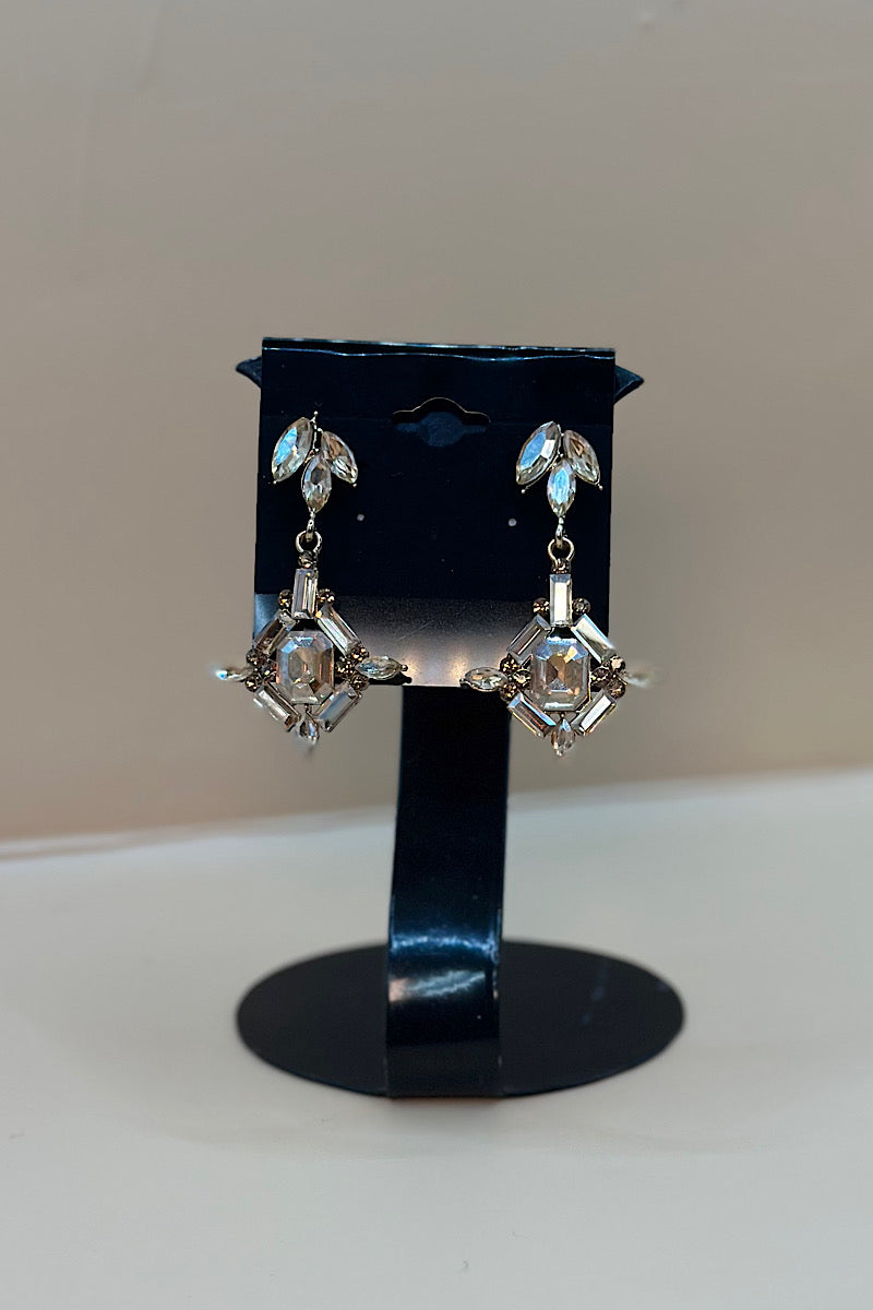 Earring- Multi Option Collection