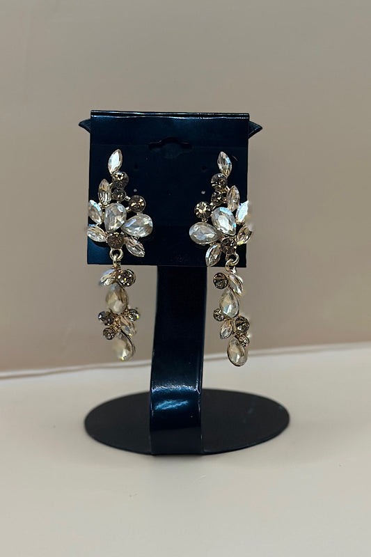 Earring- Multi Option Collection