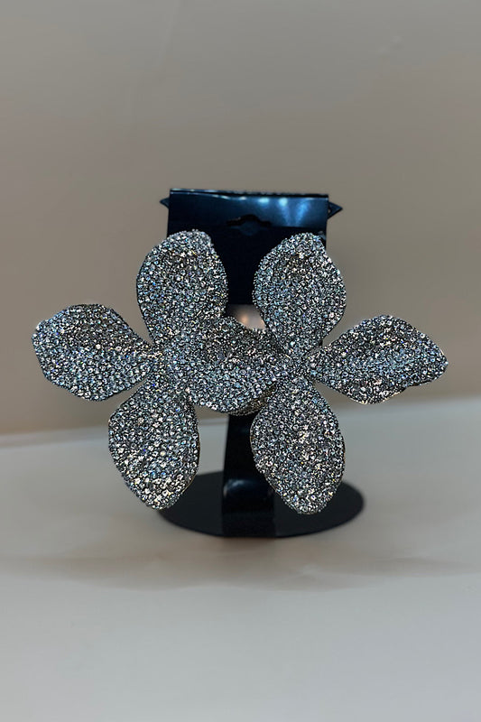 Earring- Multi Option Collection